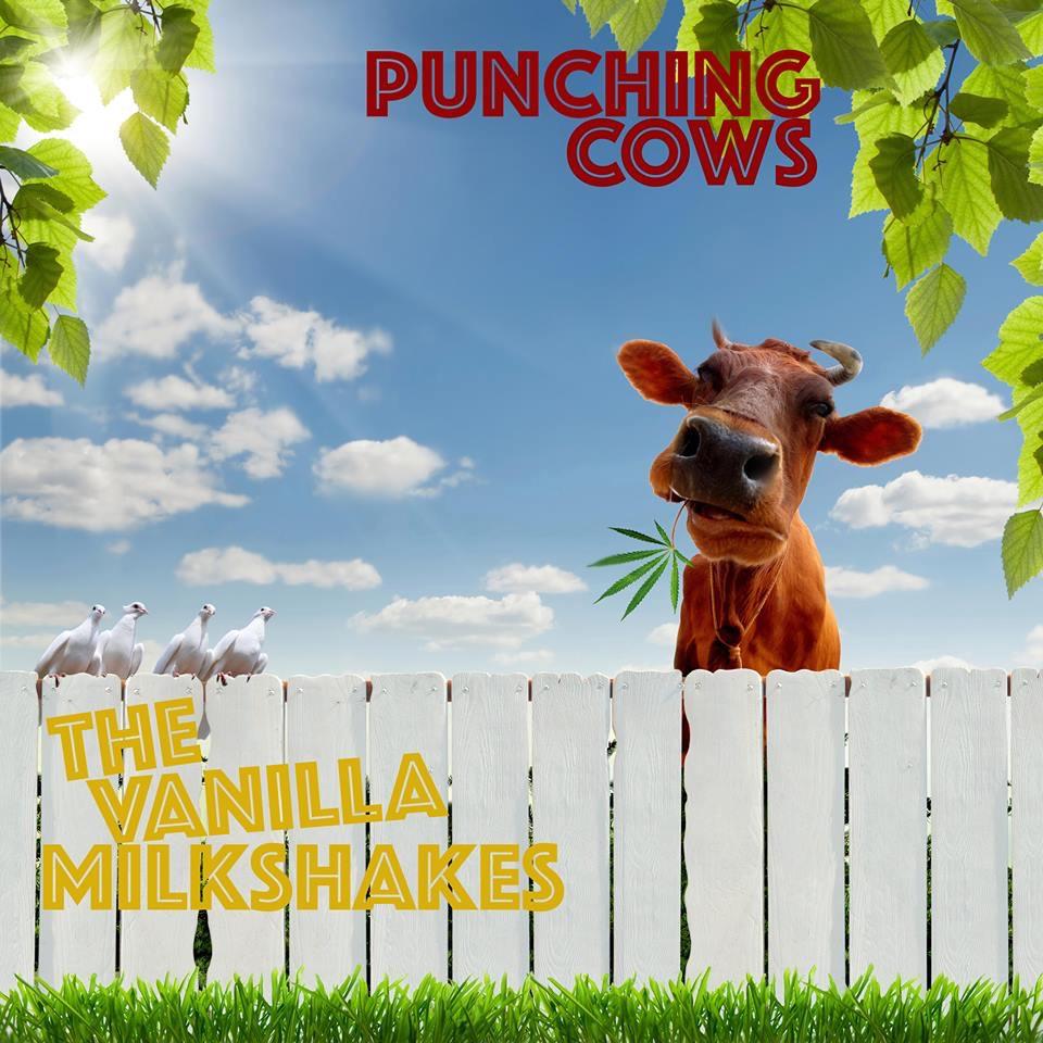 punching cows